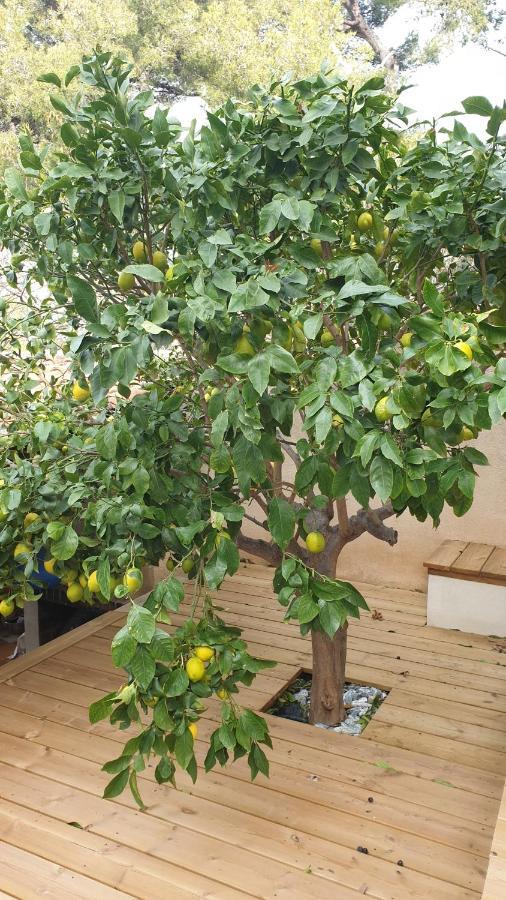 Les Terrasses Des Anthenors Acomodação com café da manhã Ensues-la-Redonne Exterior foto