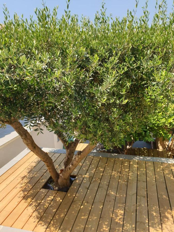 Les Terrasses Des Anthenors Acomodação com café da manhã Ensues-la-Redonne Exterior foto